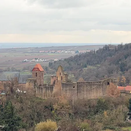 Zum Burggraf ホテル Neuleiningen