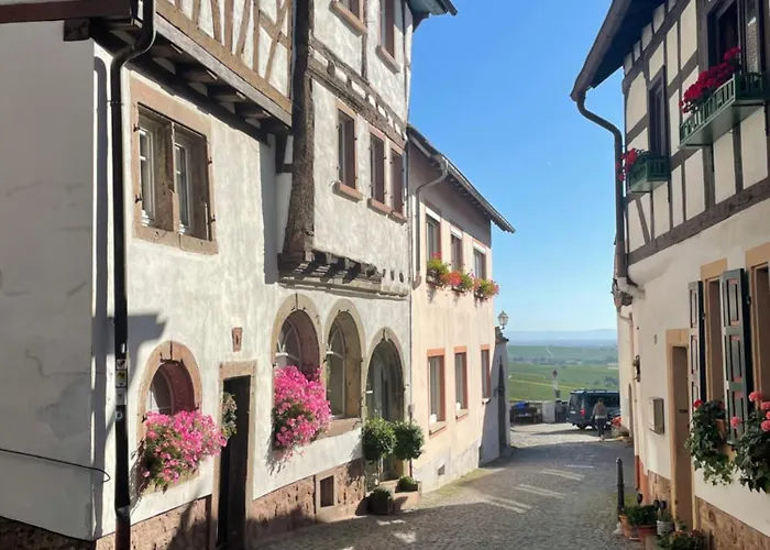 Zum Burggraf 酒店 诺伊莱宁恩