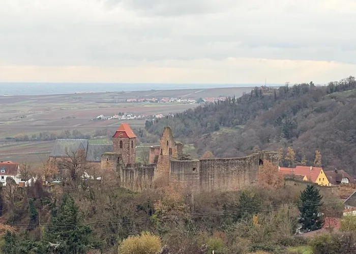 Zum Burggraf 酒店 诺伊莱宁恩